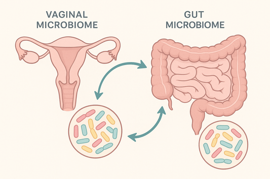 The Vaginal–Gut Microbiome Connection: What Every Wombman Should Know