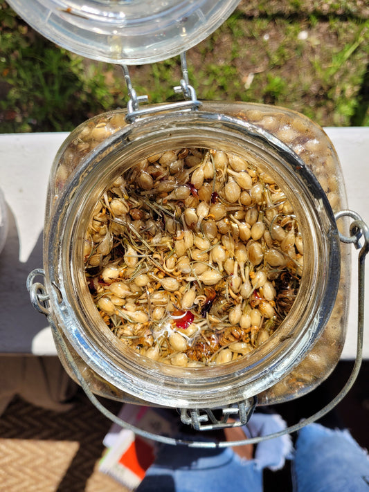 What’s In Our Yoni Oil? A Deep Dive into the Ingredients + Their Benefits