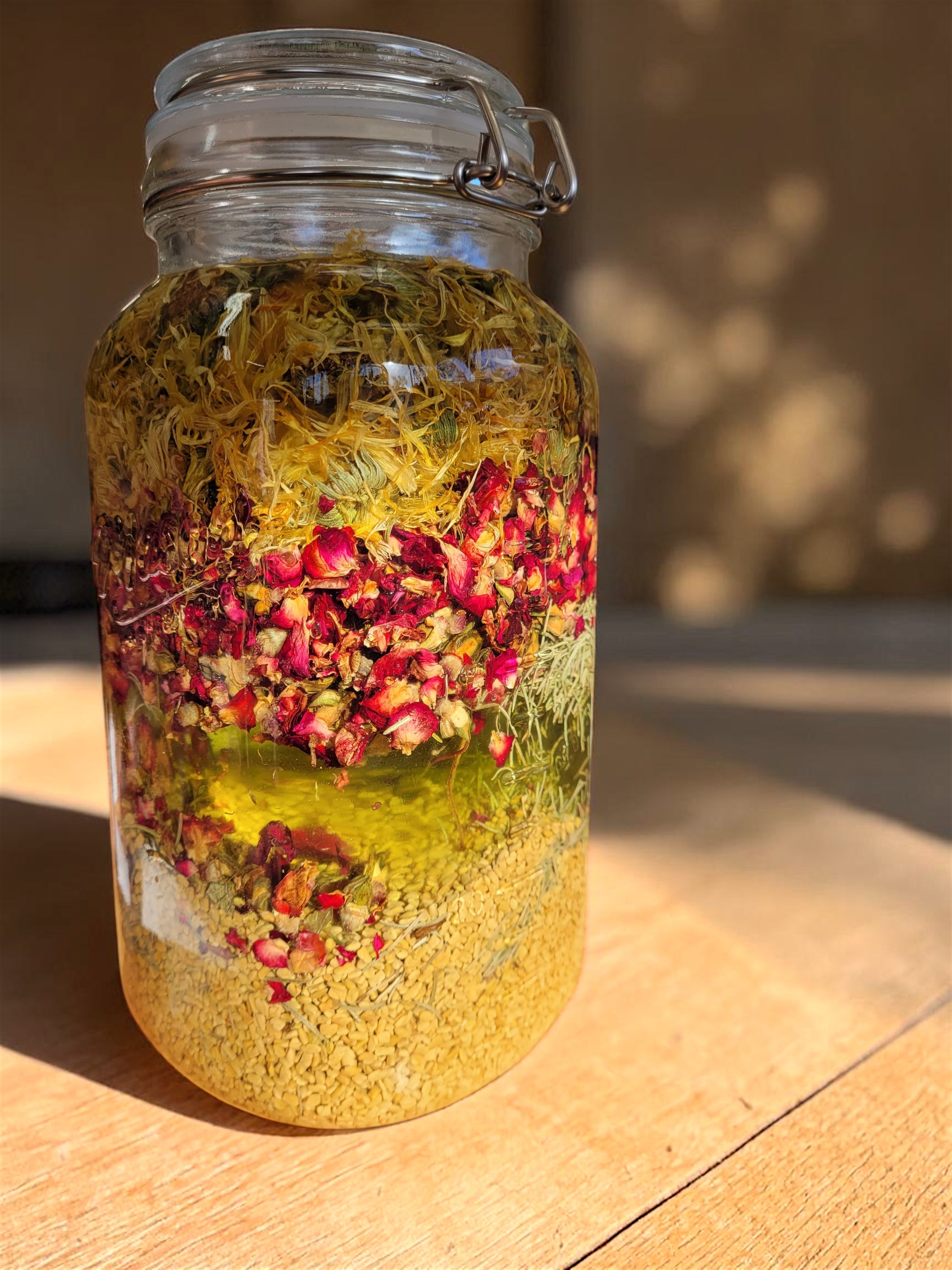 Herbal oil infusion with rose petals and calendula in glass jar, small batch breast oil process